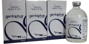 Gentamicin Injection
