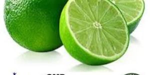Key Lime Oil