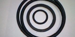 Rubber O Rings/ Oil Seals/Gaskets