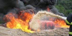 Protein Foam Concentrate