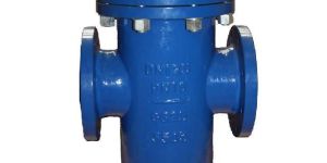 Basket Type Strainer