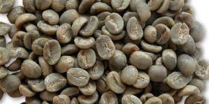 Arabica Coffee Beans