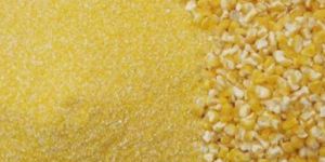Maize Flour