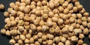 Kabuli Chick Peas