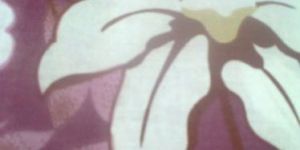 Printed Cotton Fabric