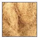 Coconut Coir Fiber
