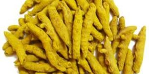 Turmeric Fingers