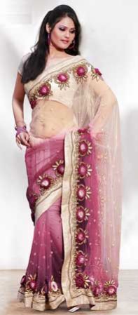 Embroidered Net Saree