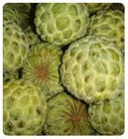 Custard Apple