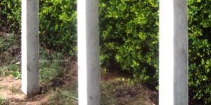 Concrete Fencing Poles