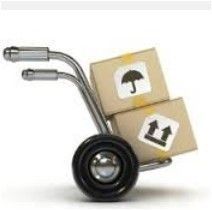 Small Parcels Services