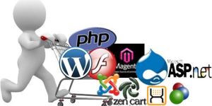Website Designing Services