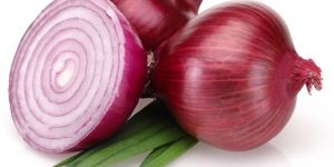Fresh Red Onion