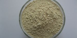 Soya Flour