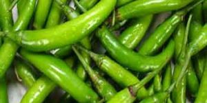 Fresh Green Chili