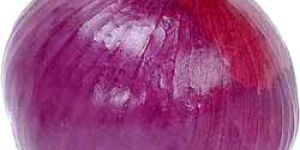 Red Onion