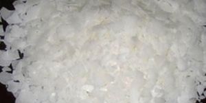 Glycerol Monostearate