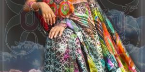 Digital Print Designer Saree