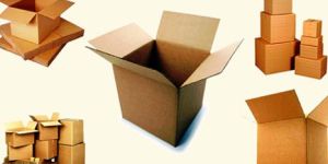 Regular Sloted Cartons