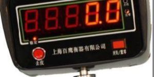 OCS-1t Series Crane Scales