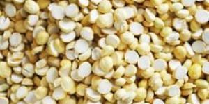 Roasted Split Chana
