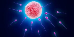 Co Enzyme Q-10 Tablets