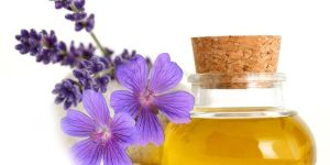 Geranium Oil