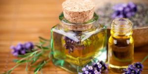 Lavender Oil