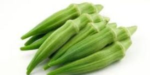 Fresh Okra