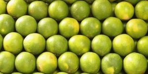 Fresh Sweet Lime