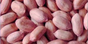 Groundnuts