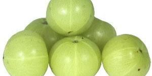 Organic Indian Gooseberry