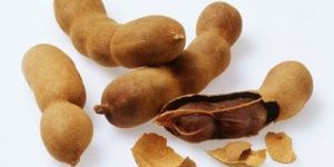 Organic Tamarind Paste