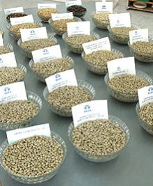 De Decaffeinated Coffee Beans