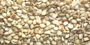 Broken Dehusked Tamarind Seed