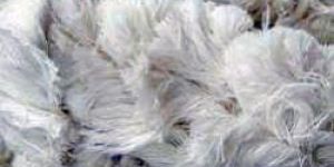 Cotton Waste