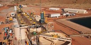 Double-impeller Leaching Tank