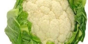 Fresh Cauliflower