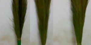 Grass Broom