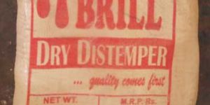 Dry Distemper
