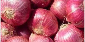 Red Onions