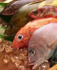 Fresh Fish