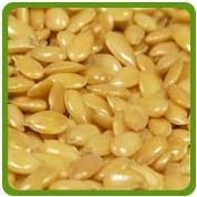 Flax Seeds