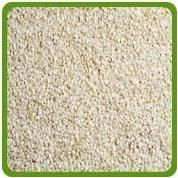 Sesame Seeds White