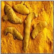 Turmeric Fingers