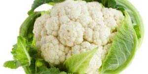 Fresh Cauliflower 01