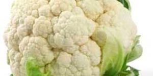 Fresh Cauliflower 02