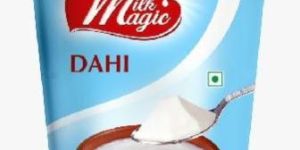 Milk Magic Dahi