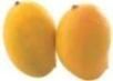 Ripen Mango