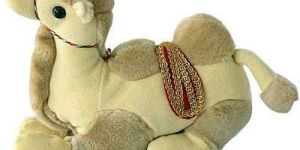 Stuffed Camels